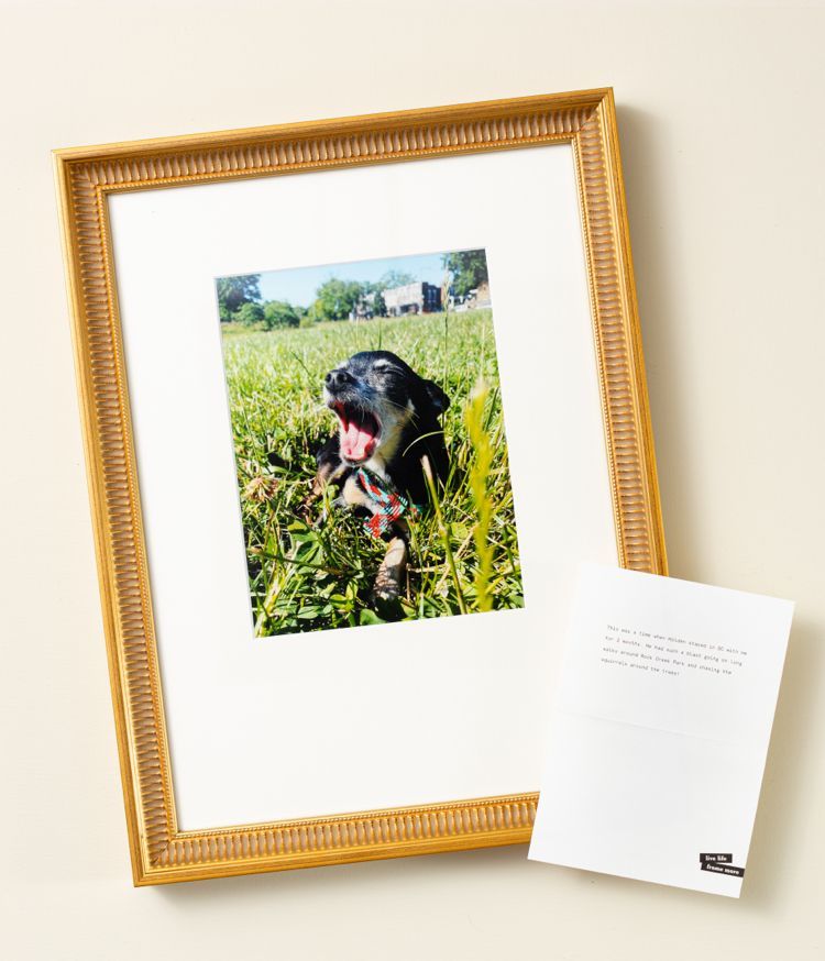 Personalized gold frame, personalized pet frame, personalized dog frame 